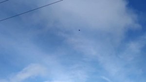 15.11.2019 БОЙНЫЕ ГОЛУБИ ((ТУРЕЦКАЯ ТАКЛА))