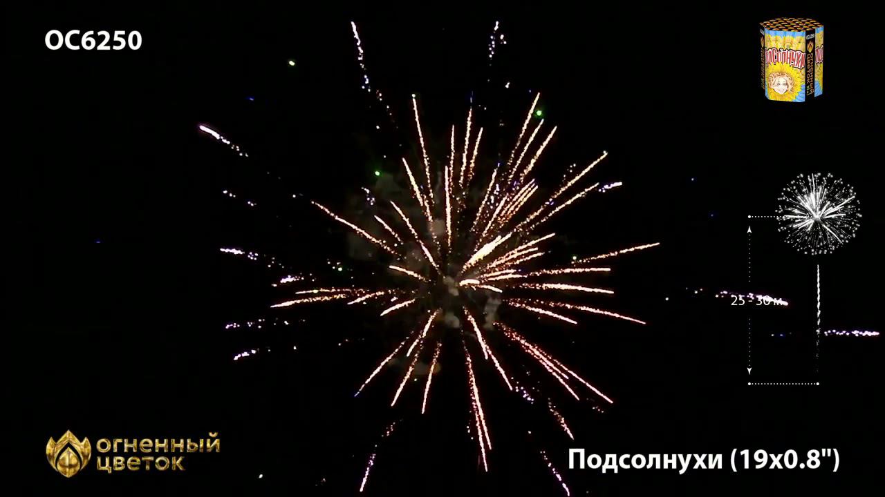 OC6250 смотреть онлайн