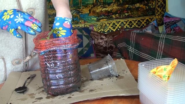 100% ПИКИРУЮ РАССАДУ В ОВОЩНУЮ СЕТКУ за 8 руб смотреть онлайн