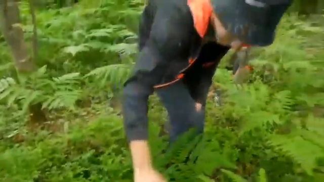 Собираем чернику. Наши приключения в лесу. смотреть онлайн