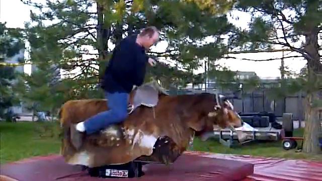 Brad Barta riding the bull смотреть онлайн