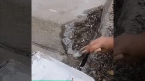 Ремонтируем бетонное крыльцо