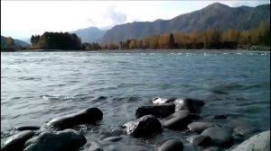 Лечим кожу Сытин Г.Н. (без муз.)