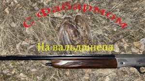 С Fabarm XLR 5 на вальдшнепа
