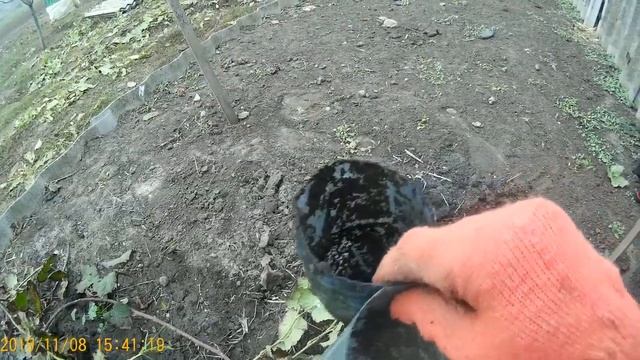 Груши из СВ/Виноград Пино Нуар смотреть онлайн