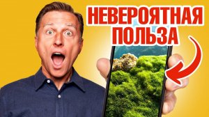 Поэтому морской мох популярен! Уникальная польза морского мха🙌