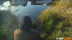 Лучшее телескопическое карповое удилище Nash DWARF для сталкинга. Безупречная легкая ловля в камыше