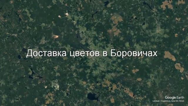 Доставка цветов в Боровичах - Заказ букетов от компании Скорая подарочная помощь смотреть онлайн