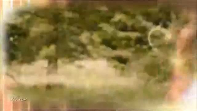 Тоже моя авторская песня "Кони" смотреть онлайн