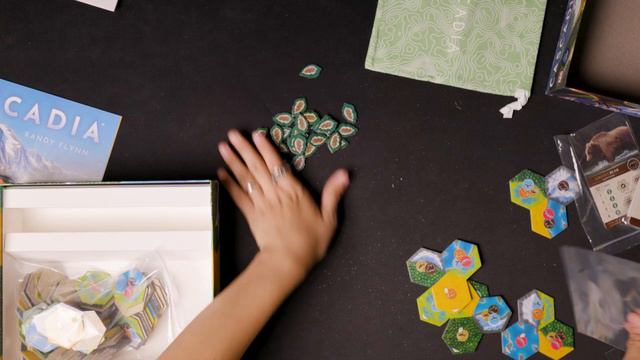 桌游开箱-卡斯卡迪亚之旅-Cascadia-棋鼓相当 смотреть онлайн