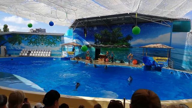 Дельфинарий Анапа смотреть онлайн