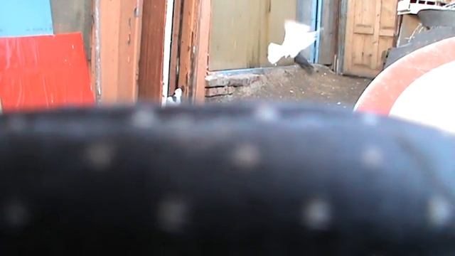 Пермские и свердловские голуби. Вечернее кормление. смотреть онлайн