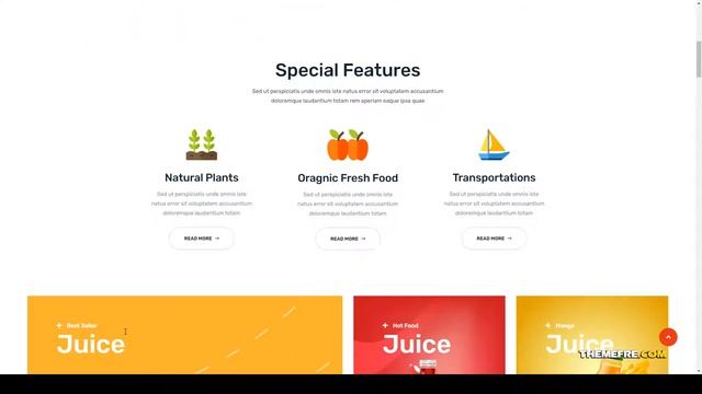 Tomatu - Organic Food WordPress Theme 12 fruits and vegetables Easy Create Website смотреть онлайн