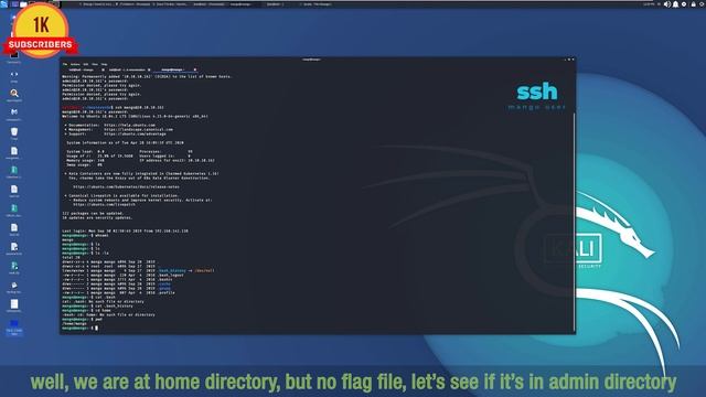 HackTheBox - Mango Box Write up смотреть онлайн