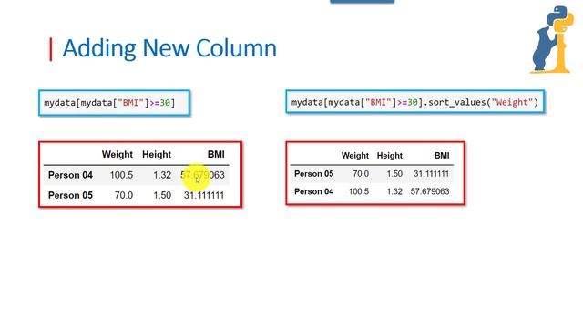 Pandas 04 | DataFrame - Add / Delete Column смотреть онлайн