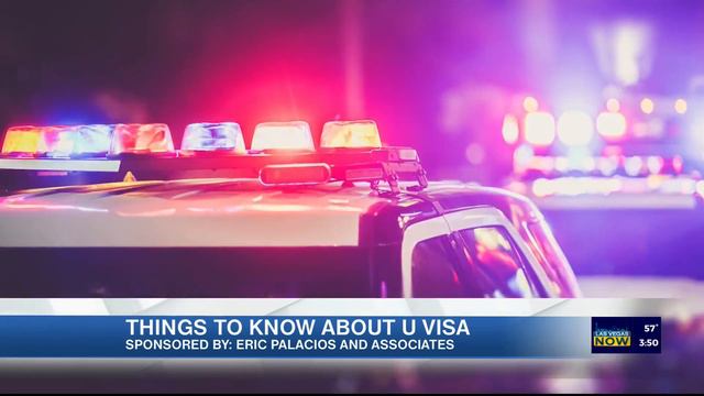 3 things to know about the U Visa with Eric Palacios & Associates смотреть онлайн