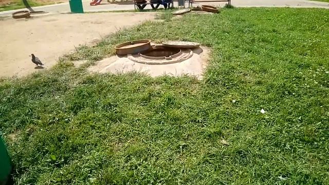 Небезопасная Лобня смотреть онлайн