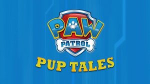 Rescue Knights Pups Save the Princess ? | PAW Patrol | Cartoons for Kids Compilation