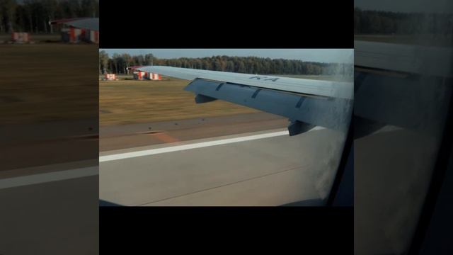 Срочная доставка фагота - как я спас музыкальную премьеру смотреть онлайн