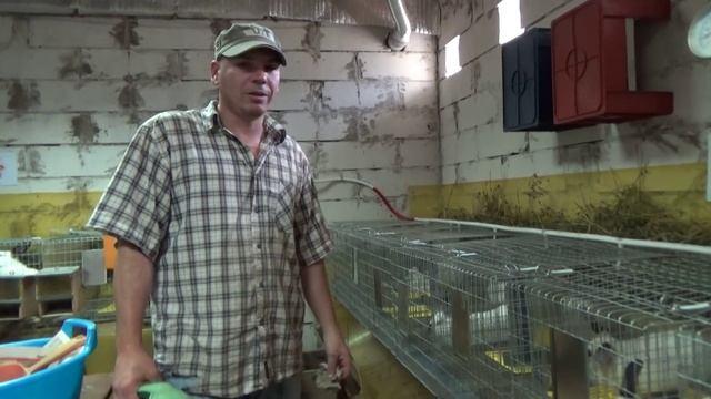 Поликарбанат для слива отходов кроликов смотреть онлайн