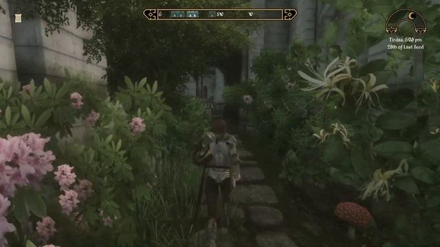 Oblivion Modpack Dungeons & Daedra || Dungeons & Dragons Overhaul for Elder Scrolls Oblivion смотреть онлайн