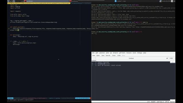 Web Security Academy | Web Cache Poisoning | 10 - Web Cache Poisoning Exploit a DOM Vulnerability смотреть онлайн