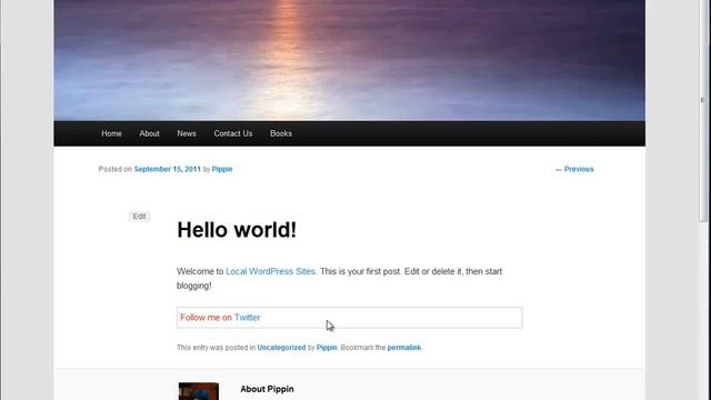 Writing Your First WordPress Plugin Part 7 - Final смотреть онлайн