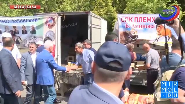 Что случилось с Дагестаном при Владимире Васильеве? смотреть онлайн