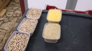 Разведение червей.Приготовление корма для червя. Рецепт комбикорма