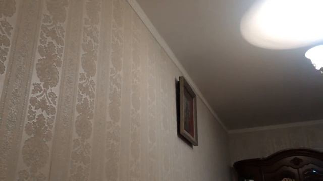 Моцарт дуэт для скрипки и альта 2-3 части смотреть онлайн