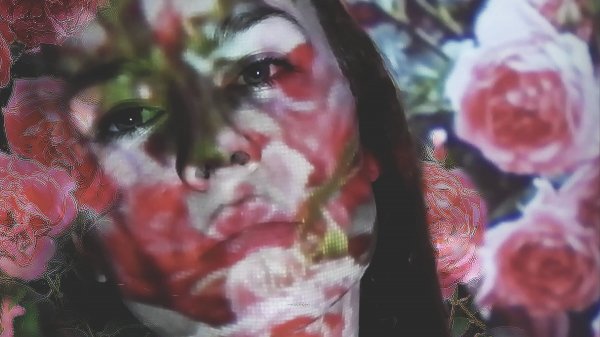 MSALICE - РОЗАМИ/ MSALICE- ROSES