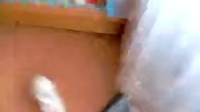 кролик и шарик - НЕОЖИДАННЫЙ конец)