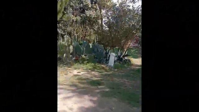 GUERREROS LA LAGUNA 12 ANIVERSARIO смотреть онлайн