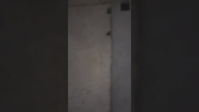 Евро трёшка ЖК "На Б.Хмельницкого" смотреть онлайн