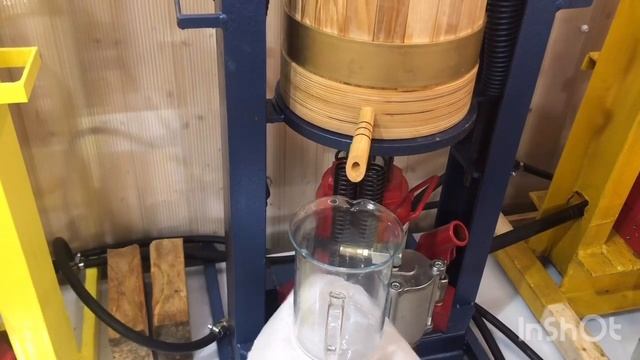 Какое растительное масло пить? смотреть онлайн