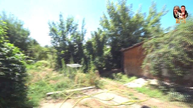 127-23! Дом/влог: мы продали квартиру в престижном районе и купили дом, рум тур по дому и участку 💪 смотреть онлайн