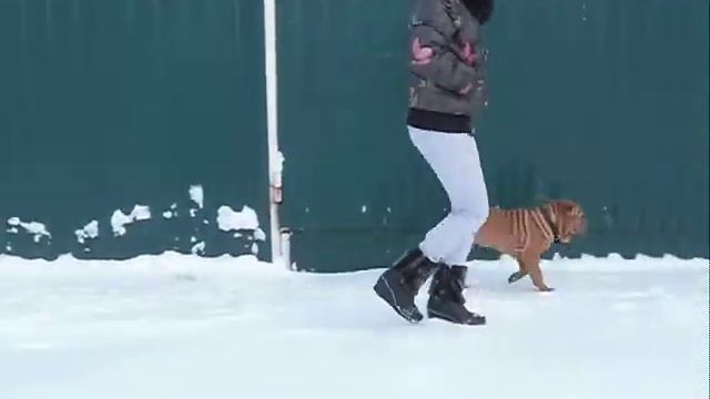 SAM 4569 смотреть онлайн