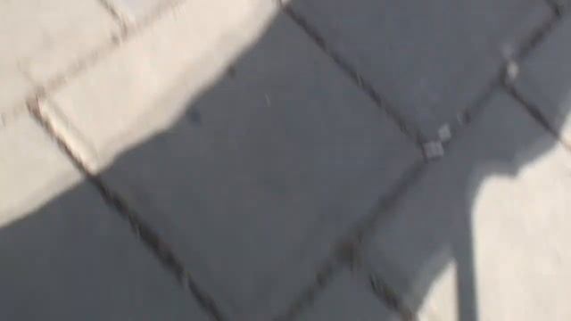 Пик половодья на Урале под Оренбургом (Набережная + Зауральная роща) смотреть онлайн