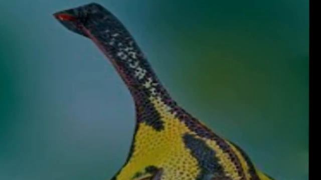 Необычные животные 6# смотреть онлайн