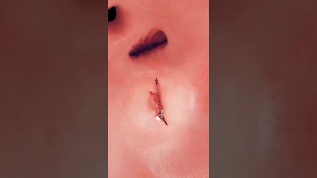 Еще одна анимация работы человеческого сердца.Большой и малый круги кровообращения смотреть онлайн