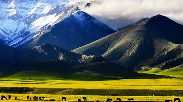 КИТАЙ СИНЬЦЗЯН - Матрица Судьбы региона УЙГУРСКОГО автономного округа и гороскоп смотреть онлайн