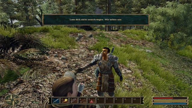 DFA Lets Play Gothic 3 Nr. 002 - Ebenbürdiger Eber смотреть онлайн