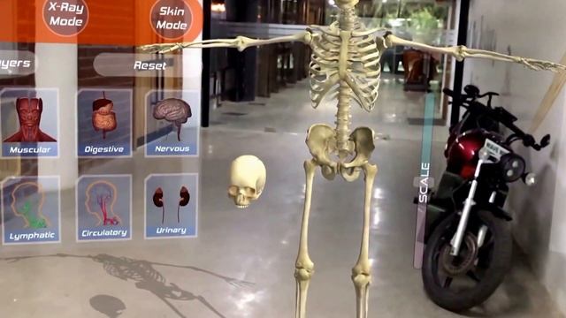 Human Anatomy 4D Preview In Mixed Reality, Virtual Reality And Agumented Reality