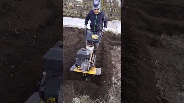 Юный пахарь????Мотоблок #Техас #россия #дети #дача смотреть онлайн