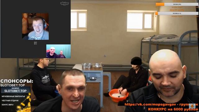 МОПС и Vjlink, мопс кошмарит Vjlinkа на стриме