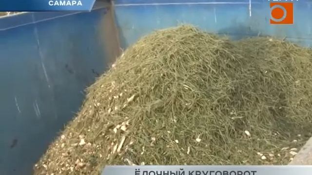 Как переработанная ёлка поможет животным в приюте смотреть онлайн