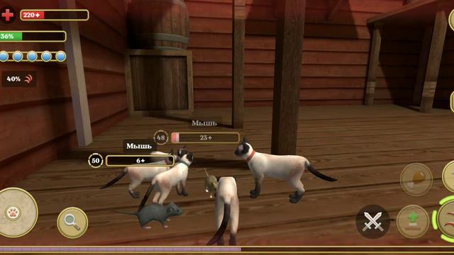 симулятор кота. пять котов против лисы, королевского зайца и королевского кабана