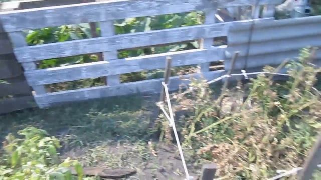 Загон для уток своими руками // Загон для уток из поддонов // Загон для уток за 2 часа!!! смотреть онлайн