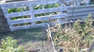 Загон для уток своими руками // Загон для уток из поддонов // Загон для уток за 2 часа!!!