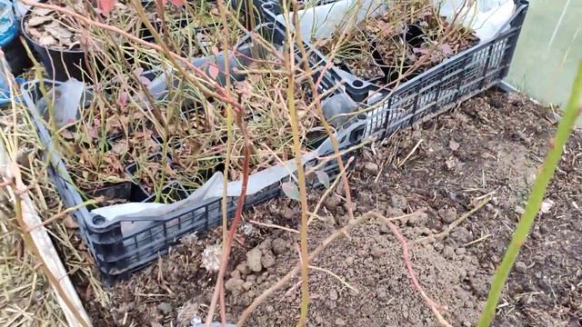 СтройМысли